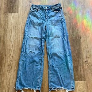 American Eagle wide leg Jeans
